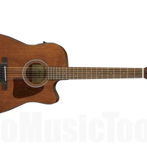 Vente Directe Ibanez AW5412CE OPN - Open Pore Natural