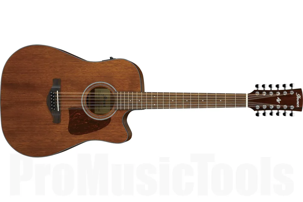 Vente Directe Ibanez AW5412CE OPN - Open Pore Natural