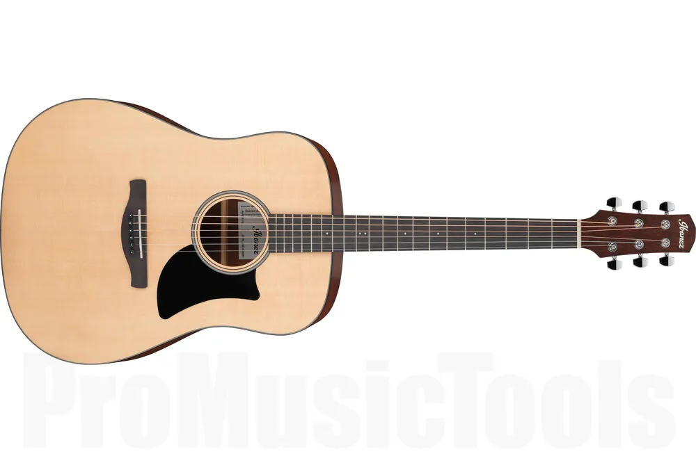 Ibanez AAD50-LG - Natural Low Gloss Pure Acoustic Populaire