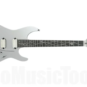 Acheter Direct Ibanez TOD10 Tim Henson Signature Premium - Classic Silver