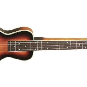Acheter Direct Gold Tone LS-6 6-String Lap Steel Guitar