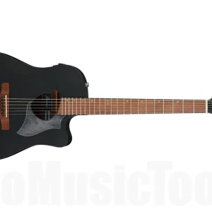 Usine Directe Ibanez ALT20-WK - Weahtered Black Open Pore