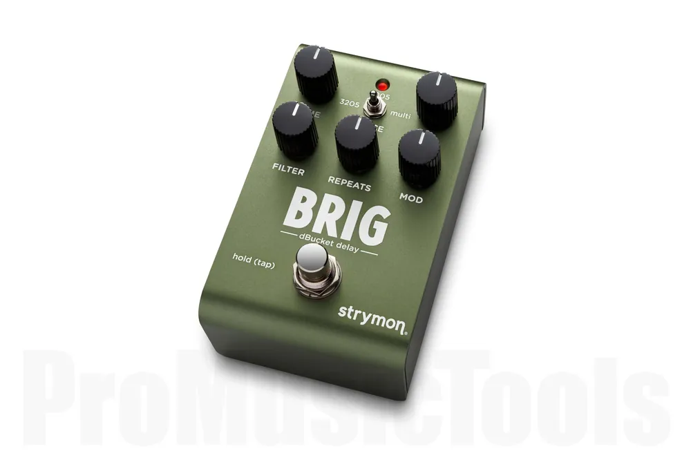 Strymon Brig dBucket Delay Haute Qualité