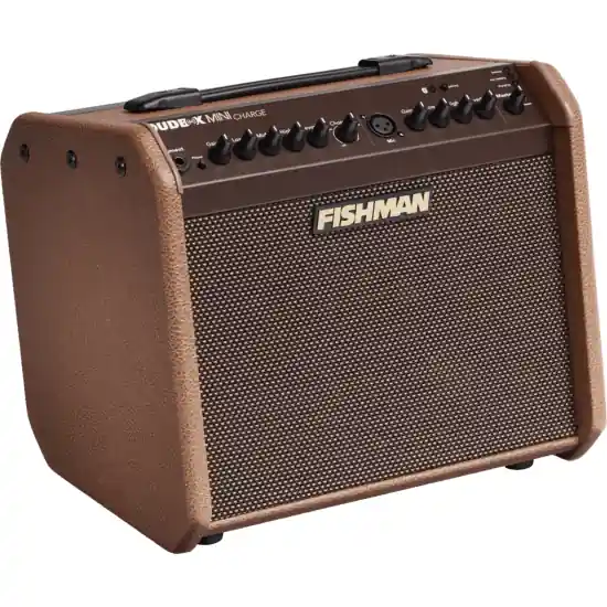 Marque ampli guitare acoustique fishman 60w sur batterie