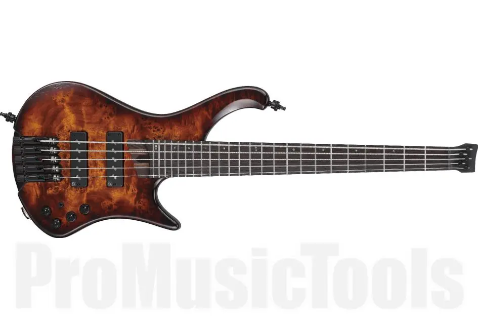 Affaire À Saisir Ibanez EHB1505S-DEL - Dragon Eye Burst Low Gloss