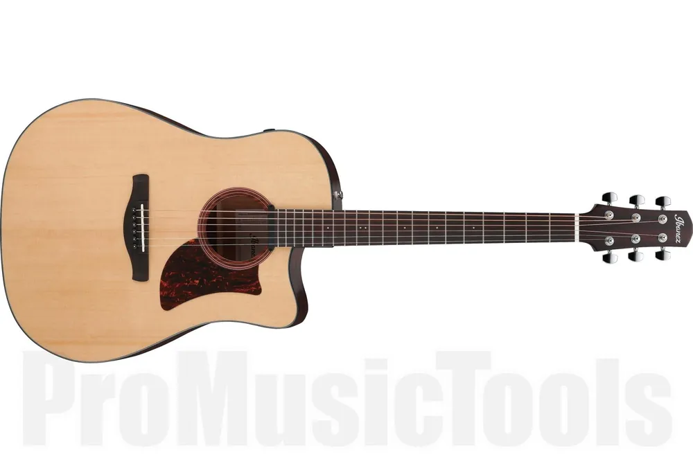 Ibanez AAD170CE LGS Advanced Acoustic - Natural Low Gloss b-stock Petit Prix