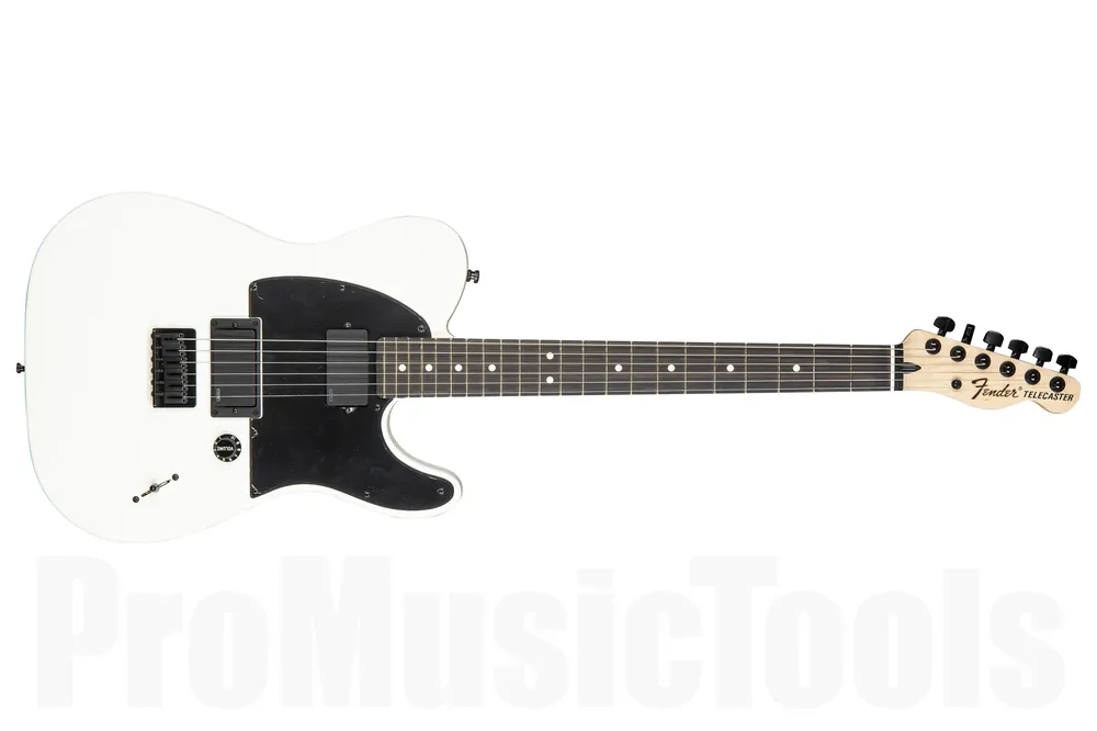 Produit De Marque Fender Jim Root Telecaster EB - Flat White - b-stock