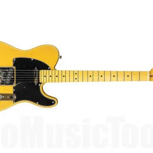 Bon Plan Fender American Professional II Telecaster MN - Butterscotch Blonde - b-stock