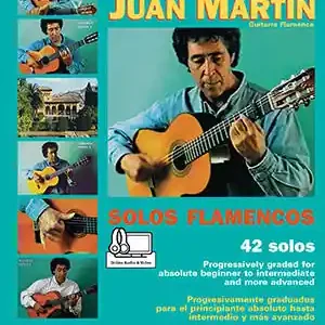 Mel Bay Play Solo Flamenco Guitar with Juan Martin, Vol. 1 - Martin/Campbell - Guitar - Book/Media Online Nouveauté