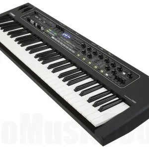 Offre Limitée Yamaha CK61 - 1x opened box