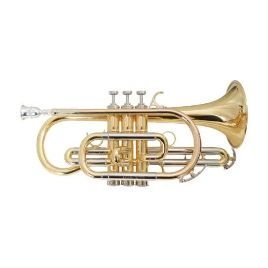 Offre Spéciale COURTOIS BELLECOUR - Cornet Sib verni