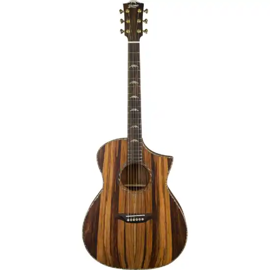 Bromo Bar4GCE Guitare electro-acoustique ébène massif Marque