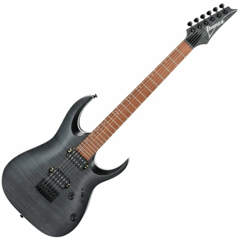 Promotion Ibanez RGA42FM-TGF TRANSPARENT GRAY FLAT