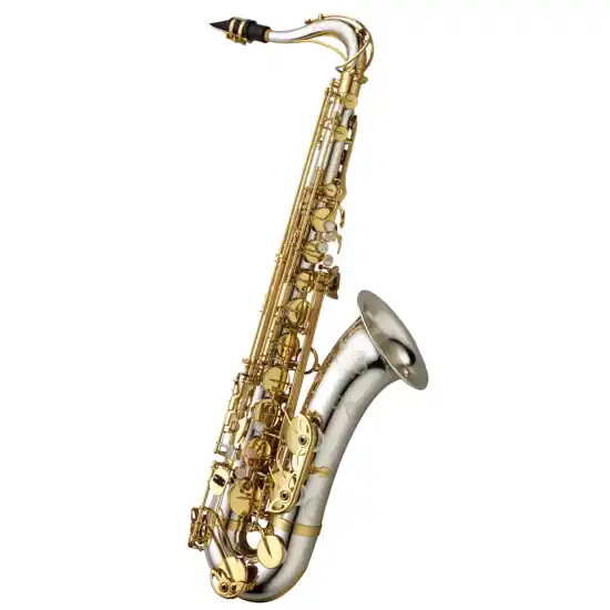 Achat Immédiat Yanagisawa T-WO37 ELITE - Saxophone Ténor - Bocal, tube, culasse et pavillon argent massif