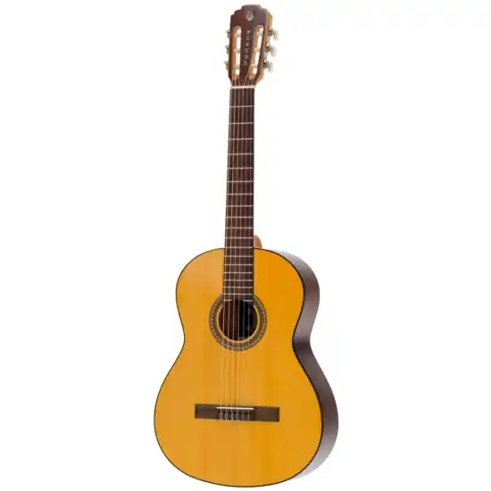 Vente Flash Pleyel P100 - Guitare classique