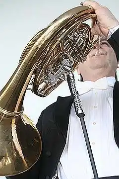 Acheter Direct Ergobrass French Horn Support