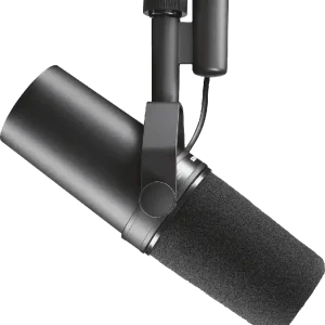 Shure SM7B Micro dynamique cardioide Meilleur Choix