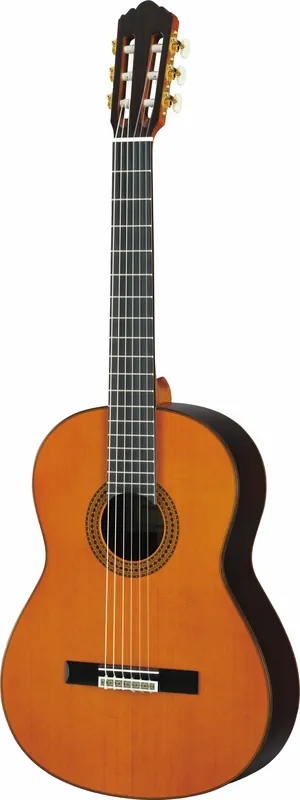 Prix Choc YAMAHA GC22C