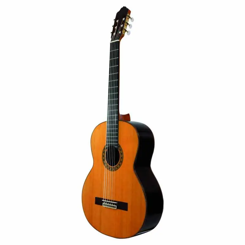 Esteve ALEGRIA Flamenco Retour Gratuit