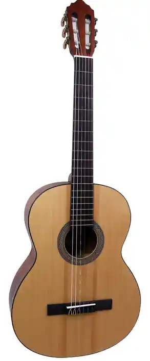 Offre Du Jour Cort AC100DX OPEN PORE