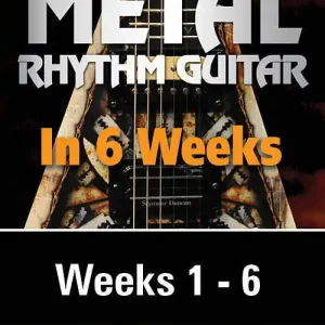 Réduction Lick Library Andy James‘ Metal Rhythm Guitar in 6 Weeks - James - 6 DVDs