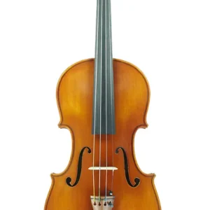 Top Vente Eastman Strings VL200 Violin Outfit - 1/10
