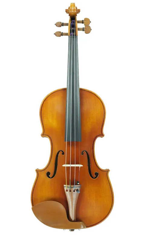 Top Vente Eastman Strings VL200 Violin Outfit - 1/10