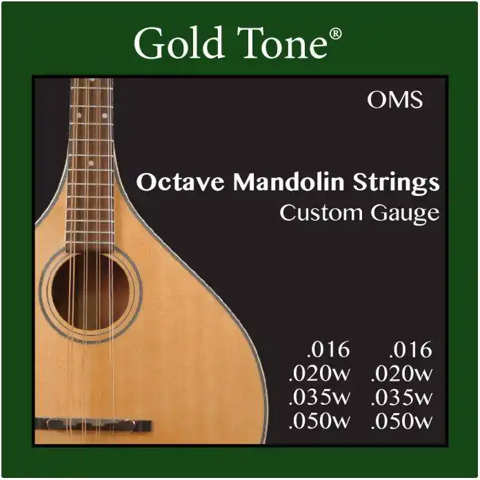 Dernier Modèle Gold Tone Octave Mandolin String Set